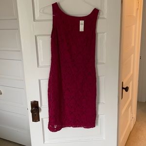 Banana Republic Lace Dress